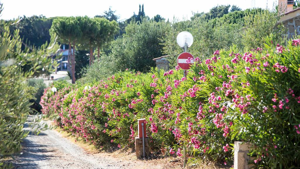 Il Borgo Centro Vacanze Гуардисталло Экстерьер фото